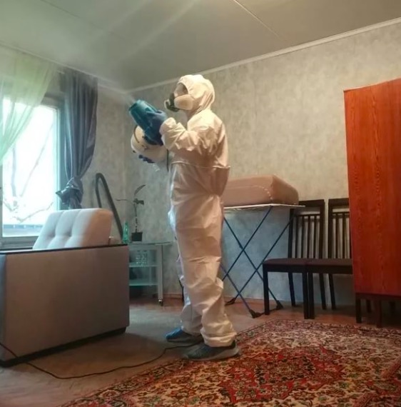 дезинсекция квартиры в Инсаре